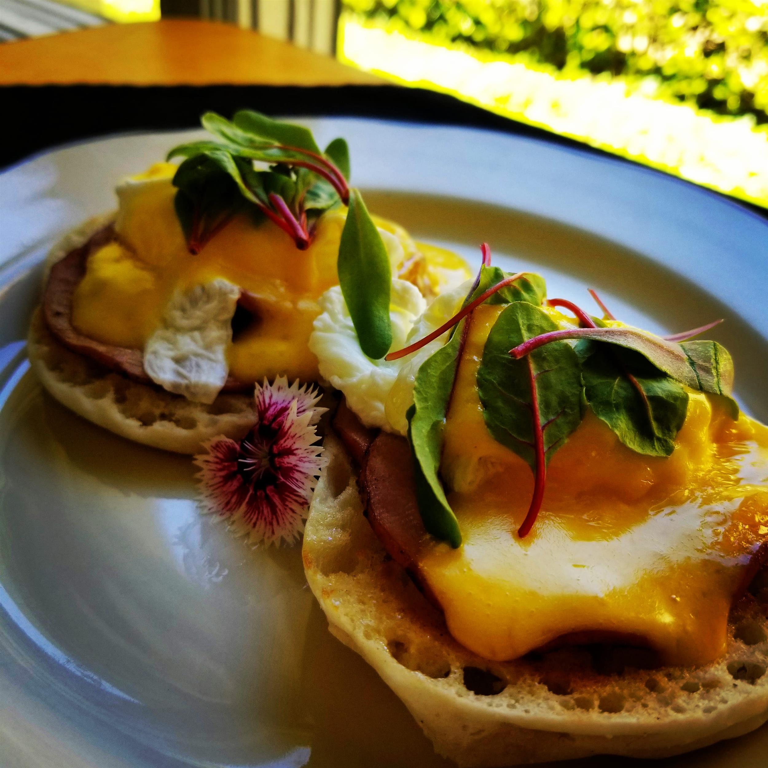 eggs benedict